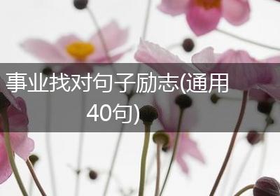 事业找对句子励志(通用40句)