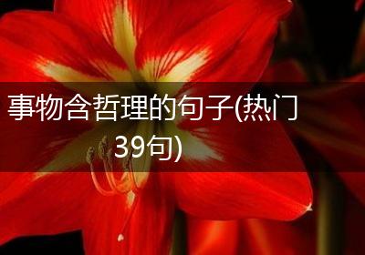 事物含哲理的句子(热门39句)