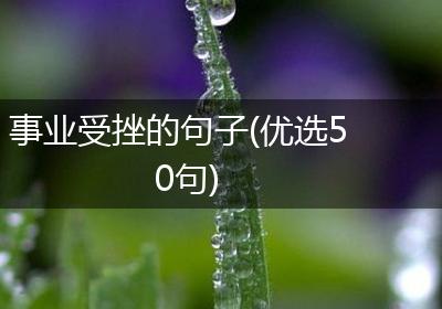 事业受挫的句子(优选50句)