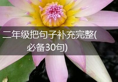 二年级把句子补充完整(必备30句)