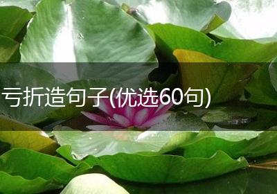 亏折造句子(优选60句)