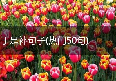 于是补句子(热门50句)