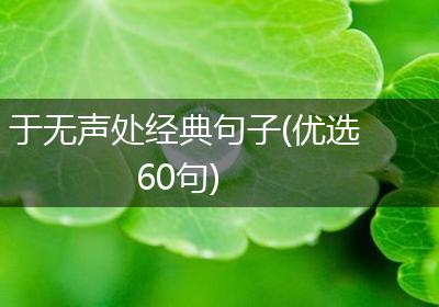 于无声处经典句子(优选60句)