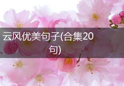 云风优美句子(合集20句)
