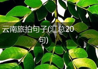云南旅拍句子(汇总20句)