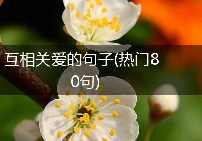 互相关爱的句子(热门80句)