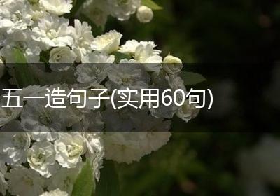 五一造句子(实用60句)