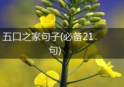 五口之家句子(必备21句)