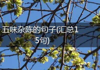 五味杂陈的句子(汇总15句)