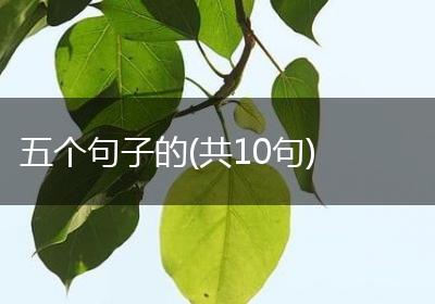 五个句子的(共10句)
