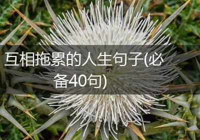 互相拖累的人生句子(必备40句)