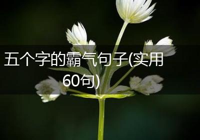 五个字的霸气句子(实用60句)