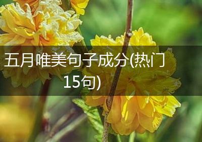 五月唯美句子成分(热门15句)