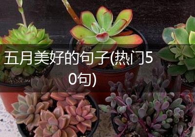 五月美好的句子(热门50句)