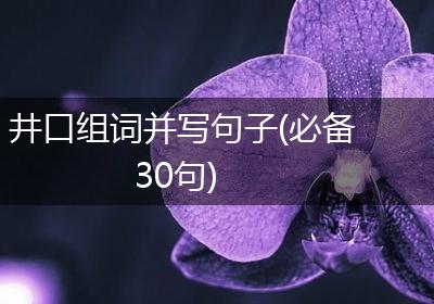 井口组词并写句子(必备30句)