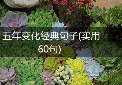 五年变化经典句子(实用60句)