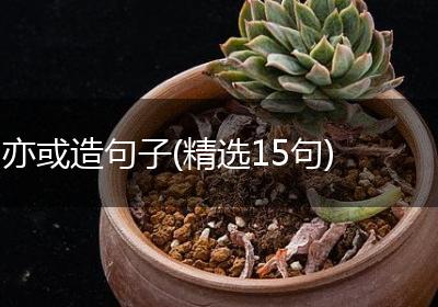 亦或造句子(精选15句)