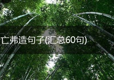 亡弗造句子(汇总60句)