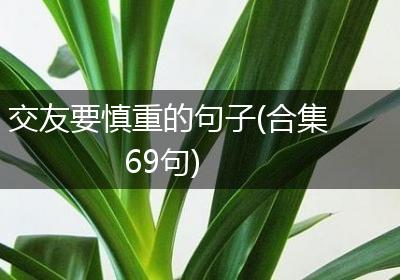 交友要慎重的句子(合集69句)