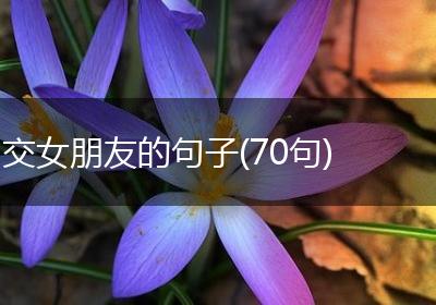 交女朋友的句子(70句)