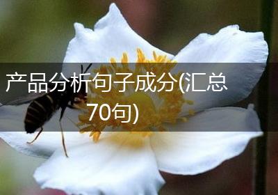 产品分析句子成分(汇总70句)