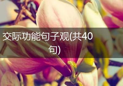 交际功能句子观(共40句)