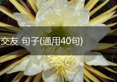 交友 句子(通用40句)
