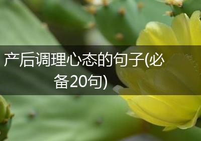 产后调理心态的句子(必备20句)