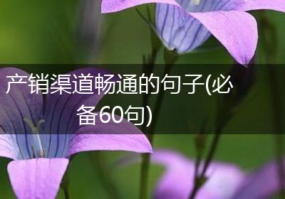 产销渠道畅通的句子(必备60句)