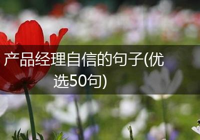 产品经理自信的句子(优选50句)