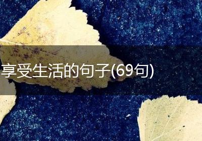 享受生活的句子(69句)