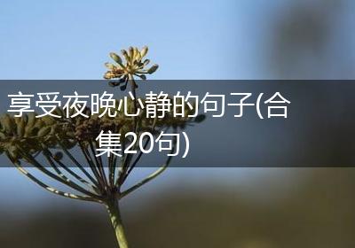 享受夜晚心静的句子(合集20句)