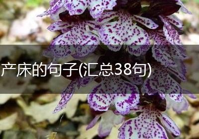产床的句子(汇总38句)