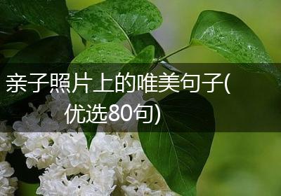 亲子照片上的唯美句子(优选80句)