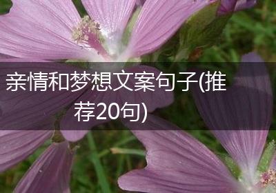 亲情和梦想文案句子(推荐20句)