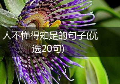 人不懂得知足的句子(优选20句)