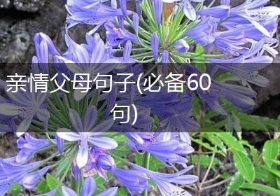 亲情父母句子(必备60句)