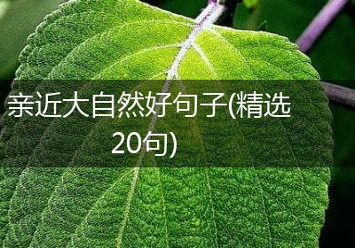 亲近大自然好句子(精选20句)
