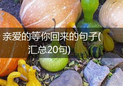 亲爱的等你回来的句子(汇总20句)