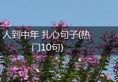 人到中年 扎心句子(热门10句)