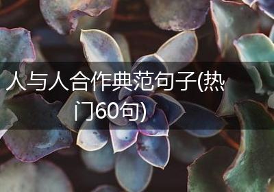 人与人合作典范句子(热门60句)