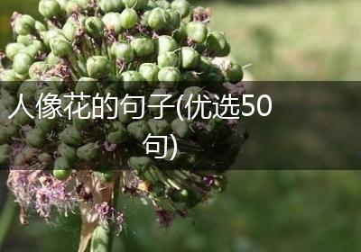 人像花的句子(优选50句)