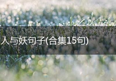 人与妖句子(合集15句)