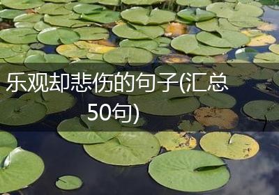 乐观却悲伤的句子(汇总50句)