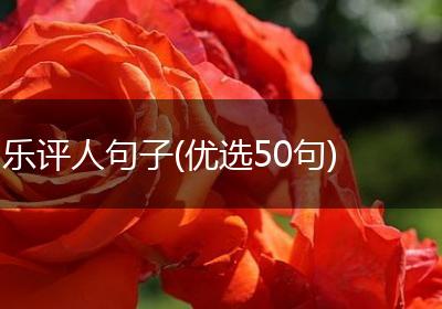 乐评人句子(优选50句)
