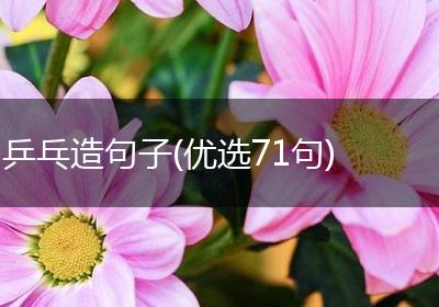 乒乓造句子(优选71句)