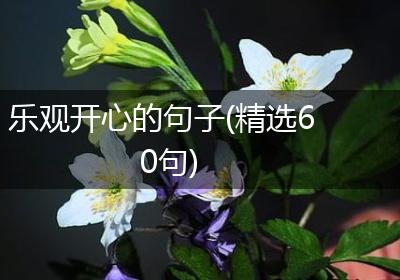 乐观开心的句子(精选60句)