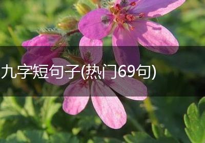 九字短句子(热门69句)