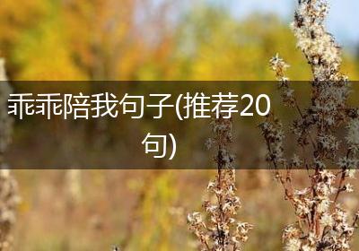 乖乖陪我句子(推荐20句)