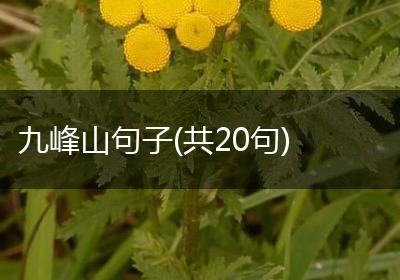 九峰山句子(共20句)